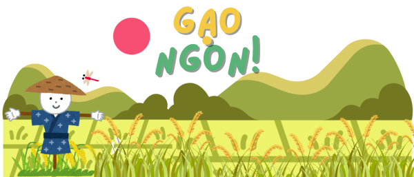 Gạo Miên CAMPUCHIA Thơm dẻo vừa Ngọt cơm Túi 10kg - Ảnh 3
